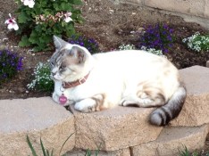 Messages Image(1069944906)